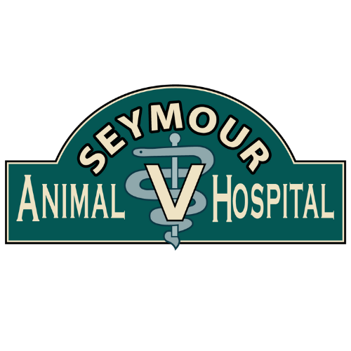 Seymour Animal Hospital