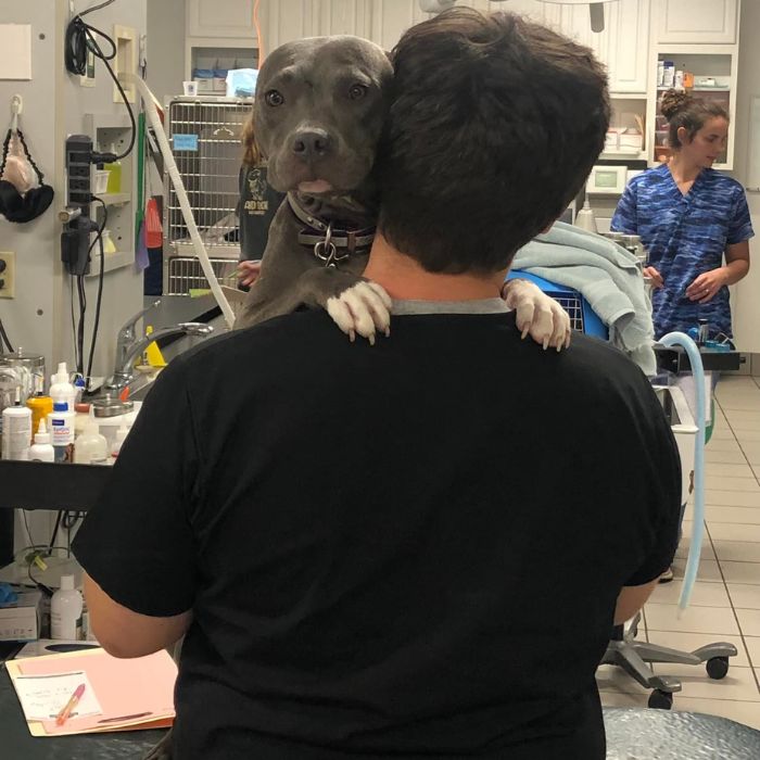 a man with his dog in the veterinary clinic